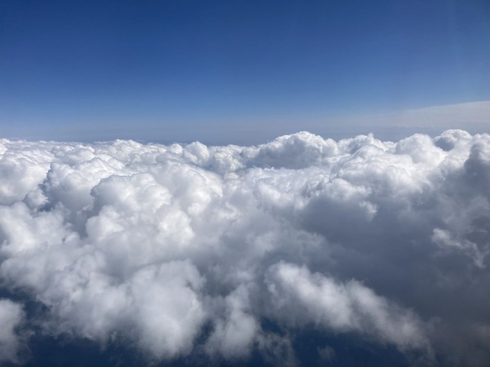 Фотография автора Анна Могилева