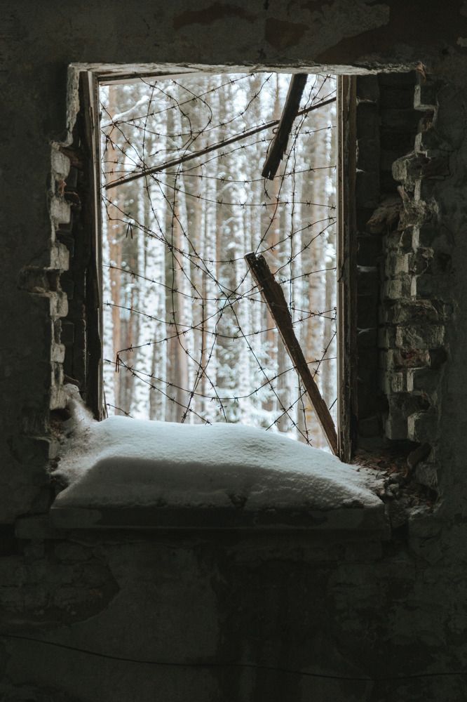 Photograph by Алексей