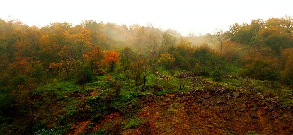 Фотография автора hakan