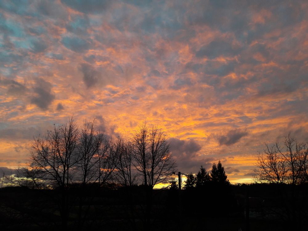 Фотография автора Alena Urlic