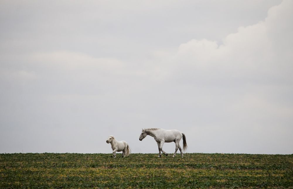 Фотография автора Кристина Данилюк