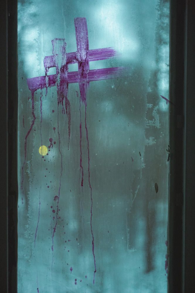 Photograph by Алексей