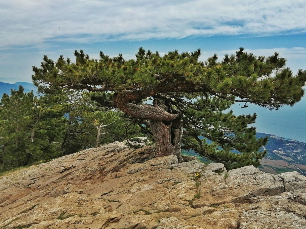 Photograph by Сергей Жигульский