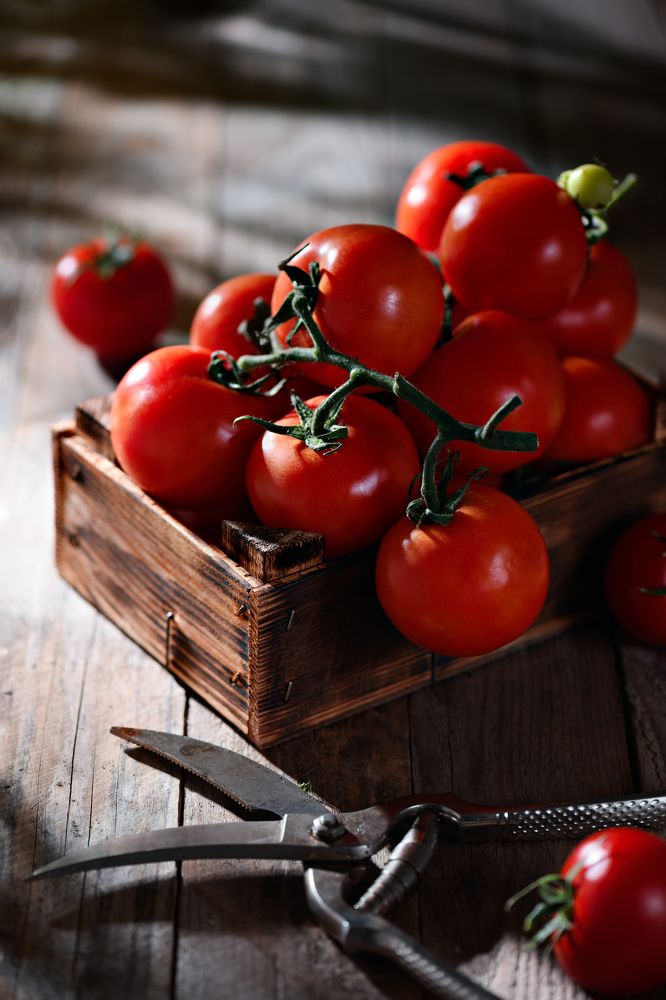 Photograph by Anastasia Steiner