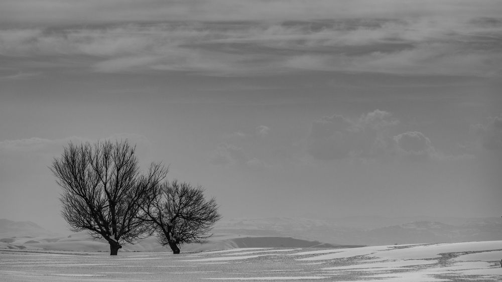 Photograph by Jad Kassem