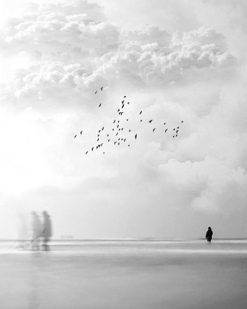 Photograph by Pourya Farajpour