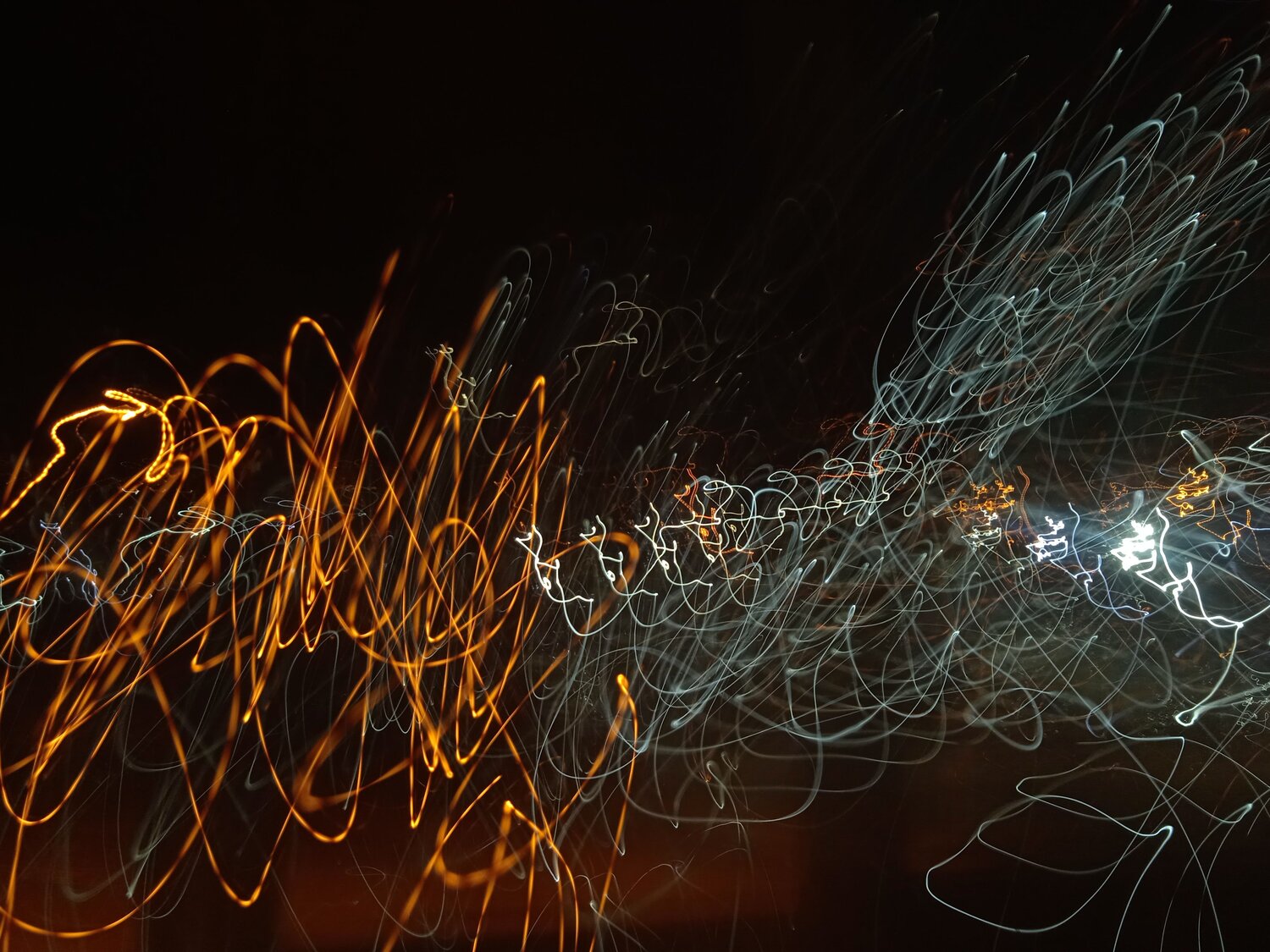 Photo #7231599
