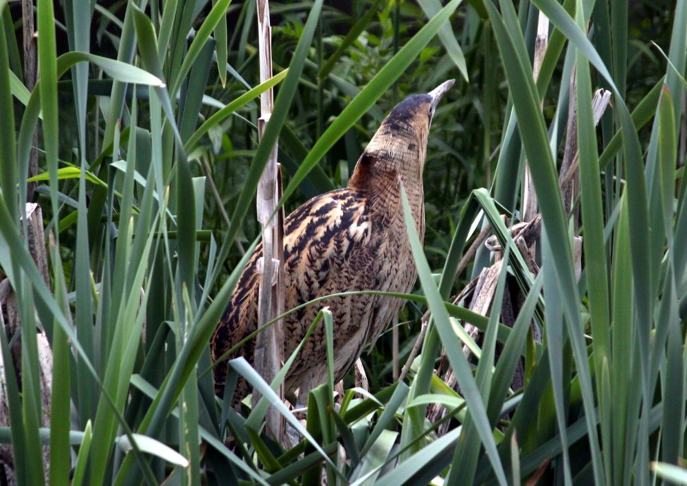 Photograph by Глеб Кузьминых