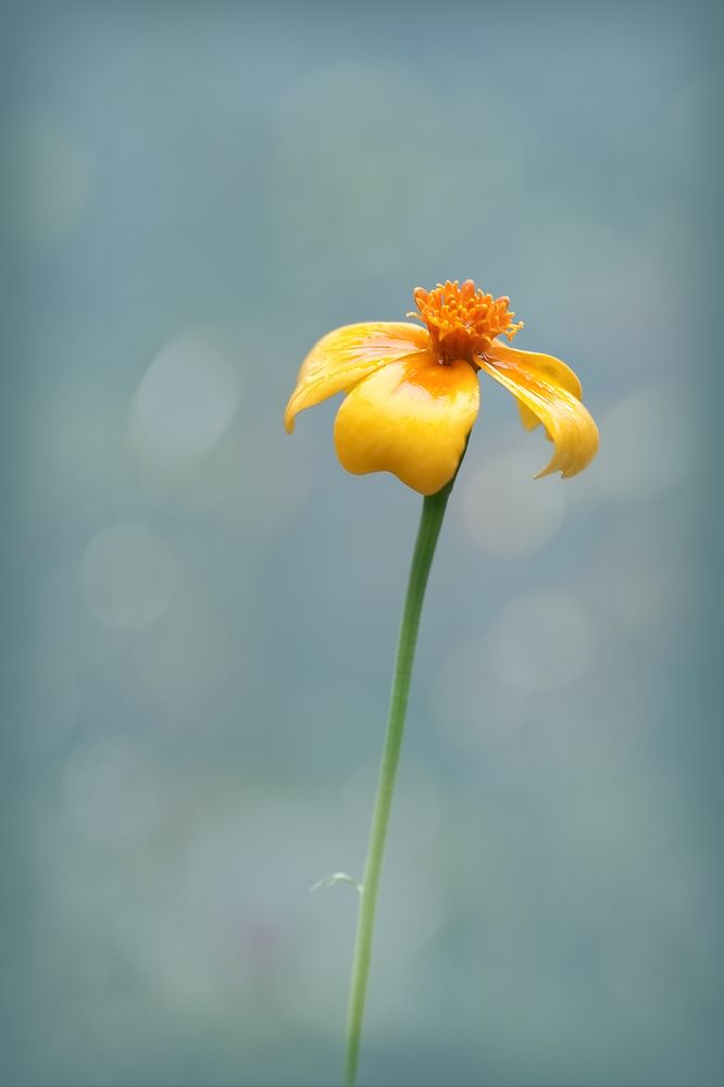 Photograph by Людмила Ефремова