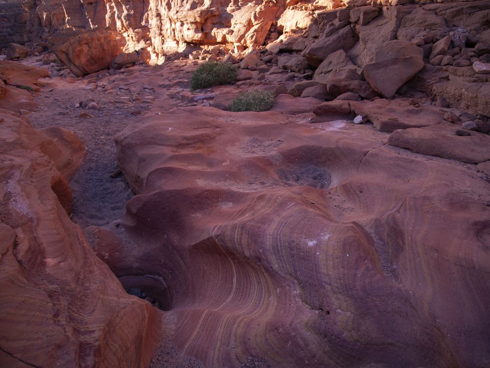 Бедуины и туризм