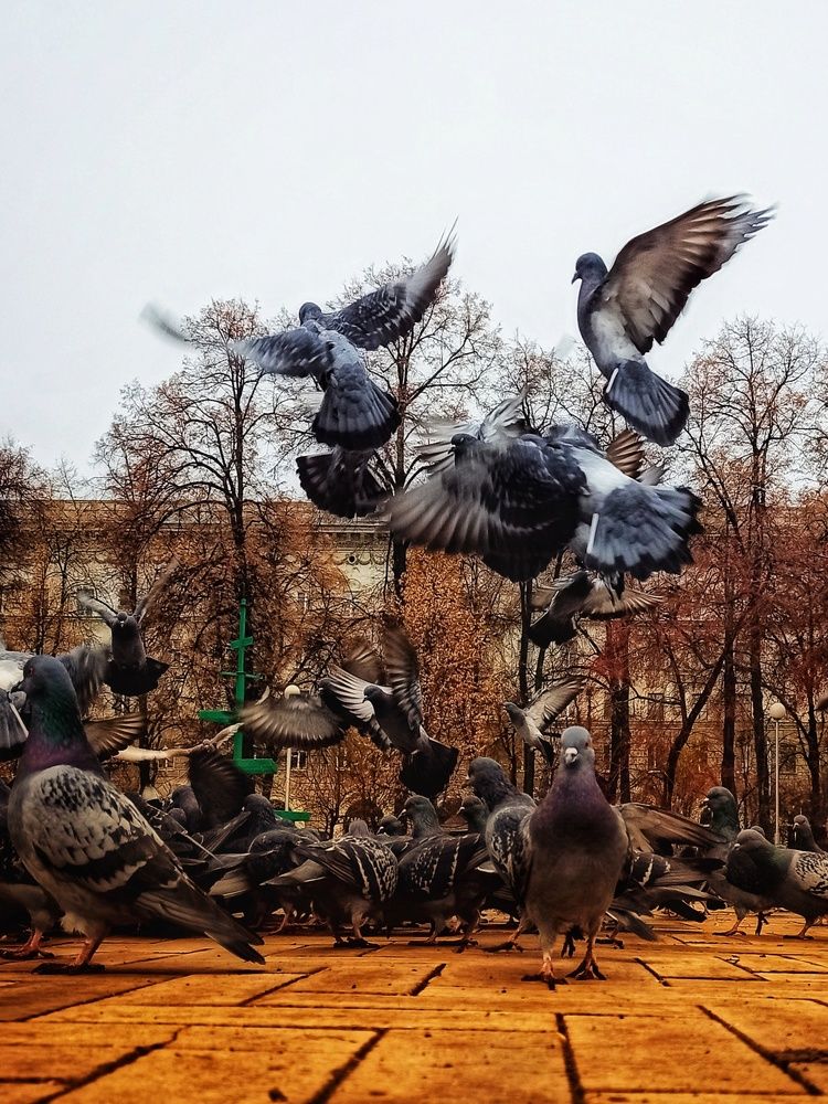 Photograph by Elena Bogomolova