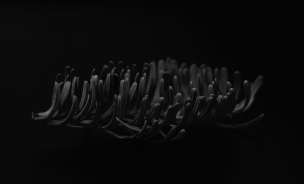 Photograph by Алеся