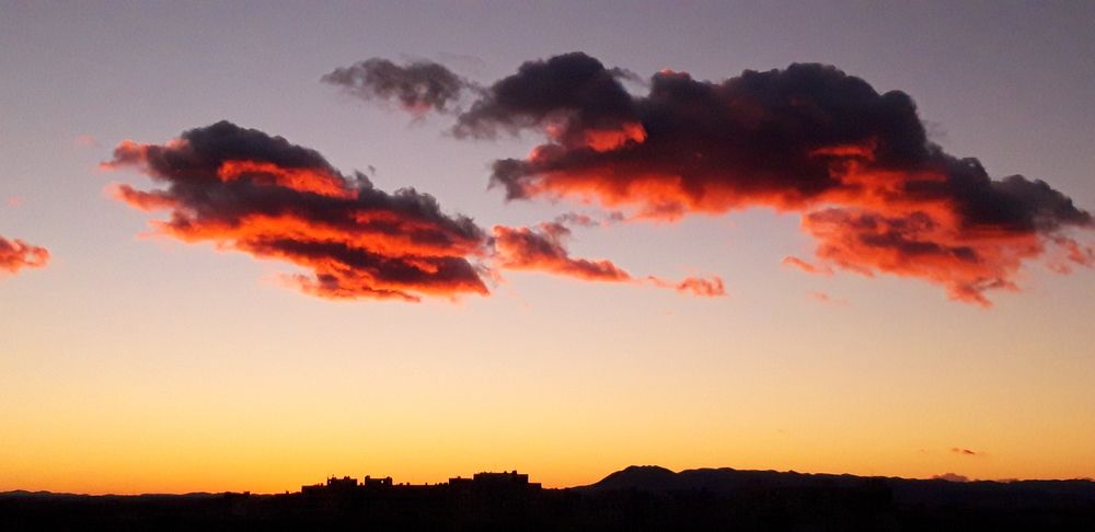 Photograph by Linda Brakus