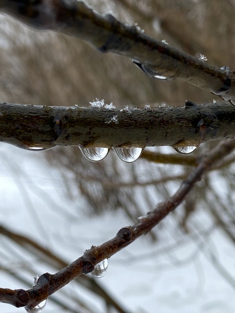 Photograph by Наталья