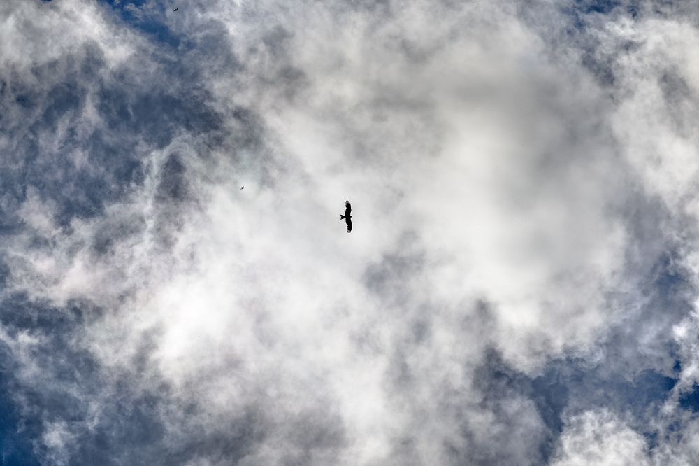 Photograph by Владимир Карпов