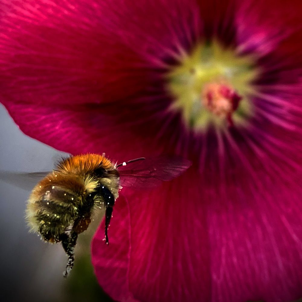 Photograph by Наталья