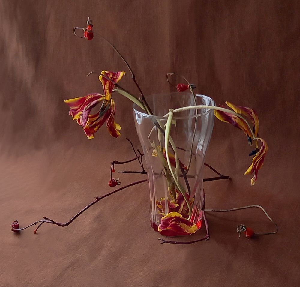 ЗИМНИЙ НАТЮРМОРТ 3