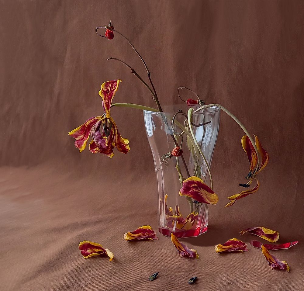 Photograph by Ирина Архипова