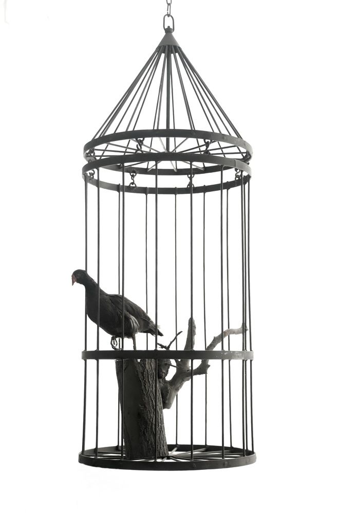 Photograph by Лада Денисова