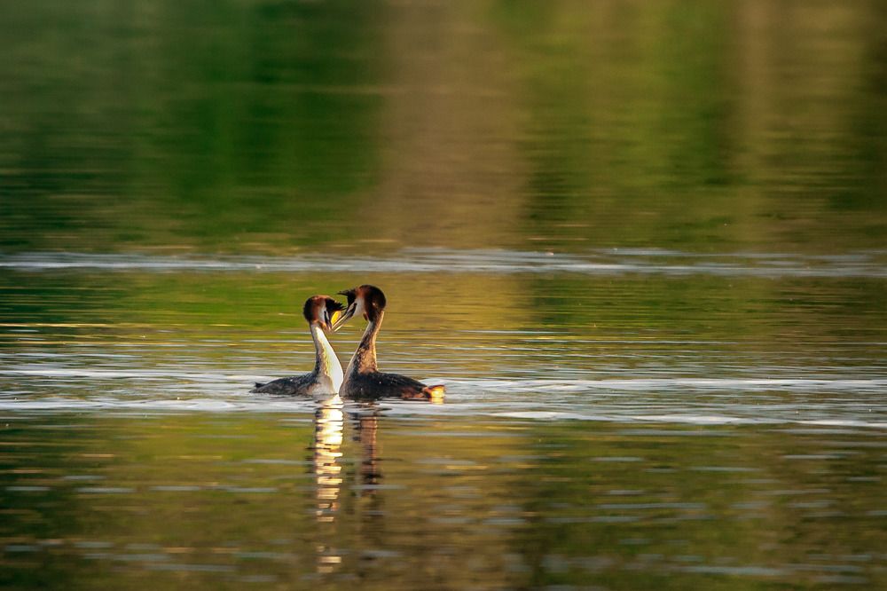 Photograph by Wiktor Kulesa