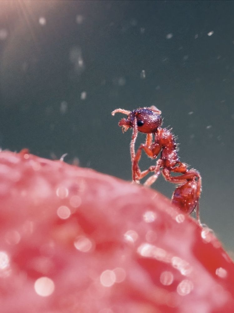 Photograph by Юлия Иванова