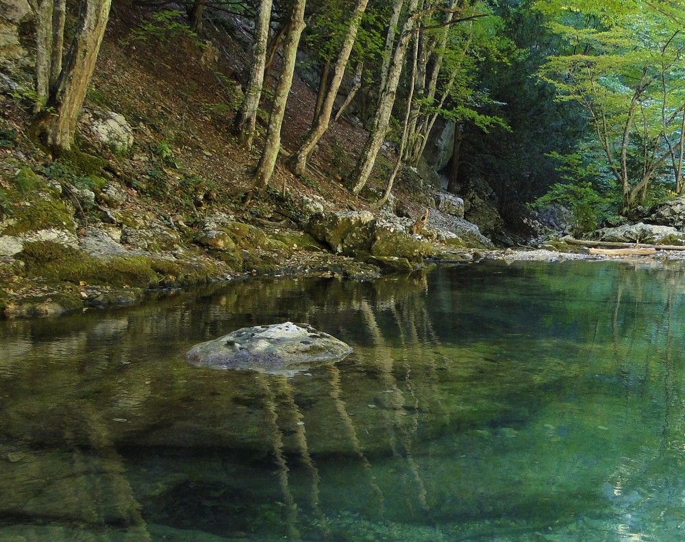 Photograph by Oksana