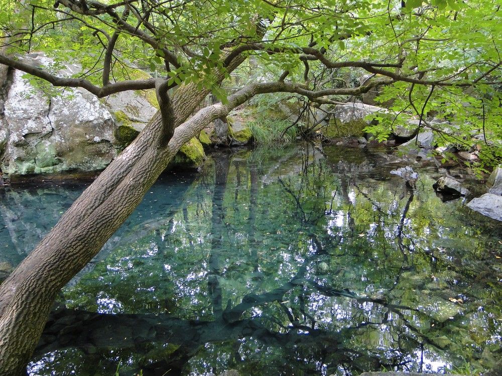 Photograph by Oksana