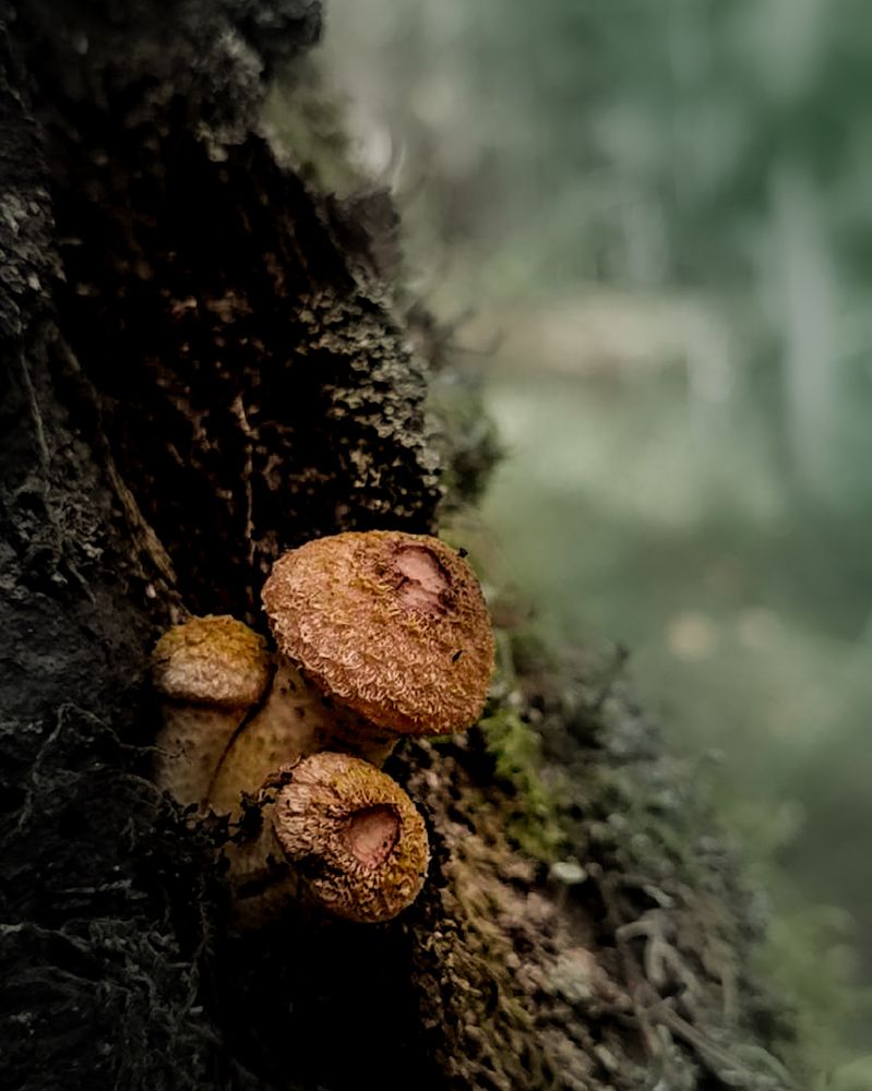 Photograph by Наталья Балабанова