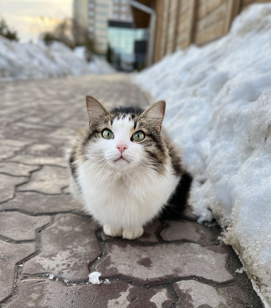 Photograph by Олеся Асеева