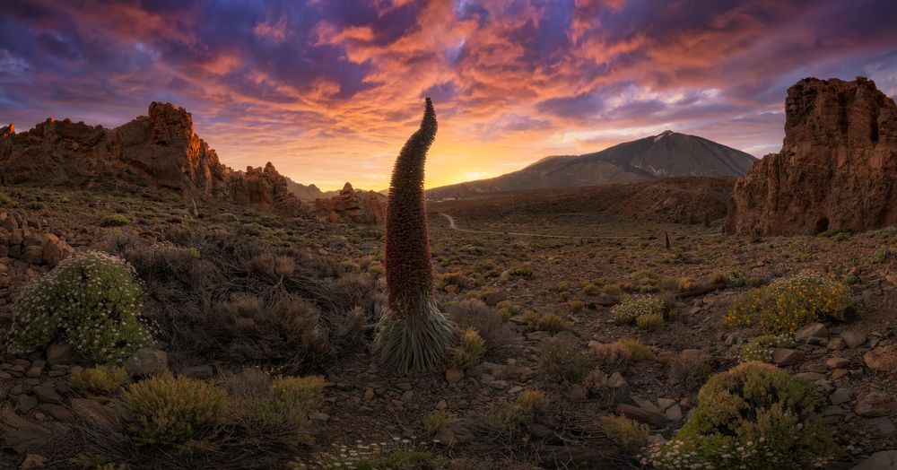 Photograph by Carlos Solinis Camalich