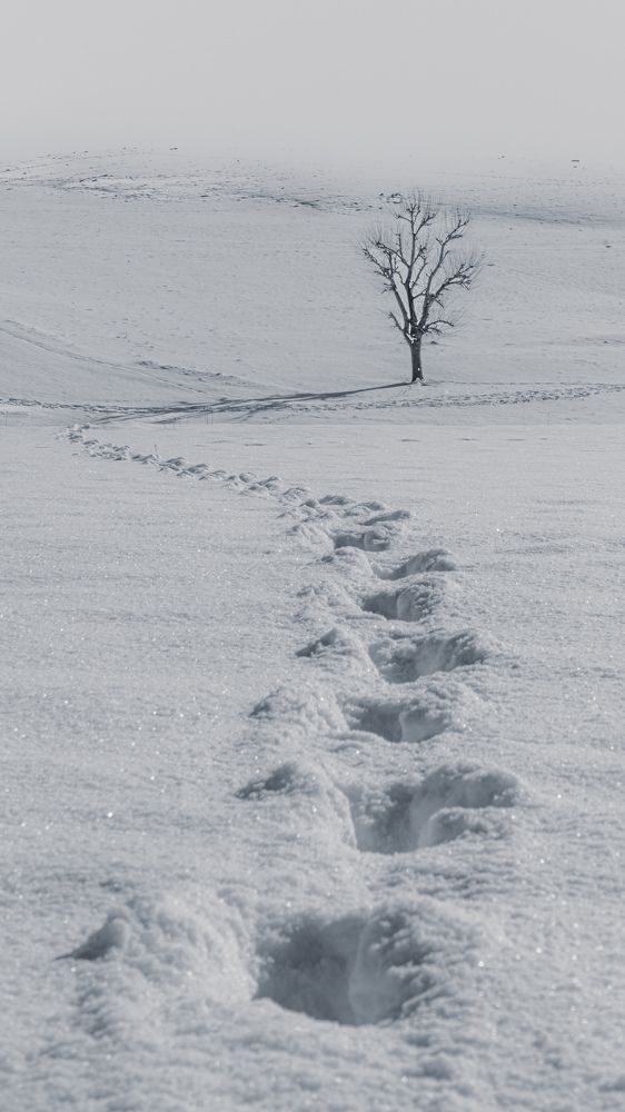 Photograph by Komar latif