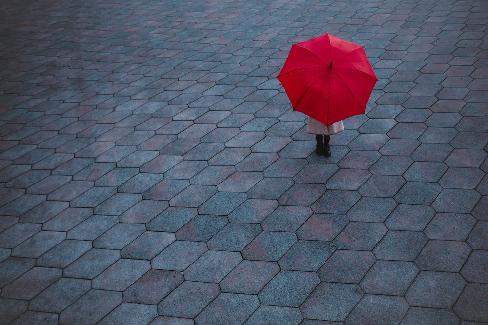 Photograph by Ekaterina Berendykhina