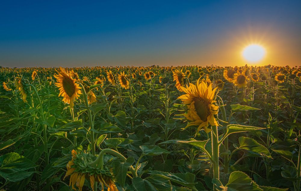 Photograph by Marcelo Giorgi