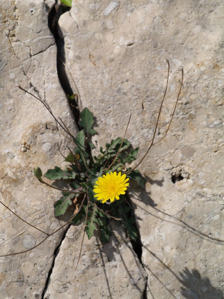 Фотография автора Dubravko Maricic