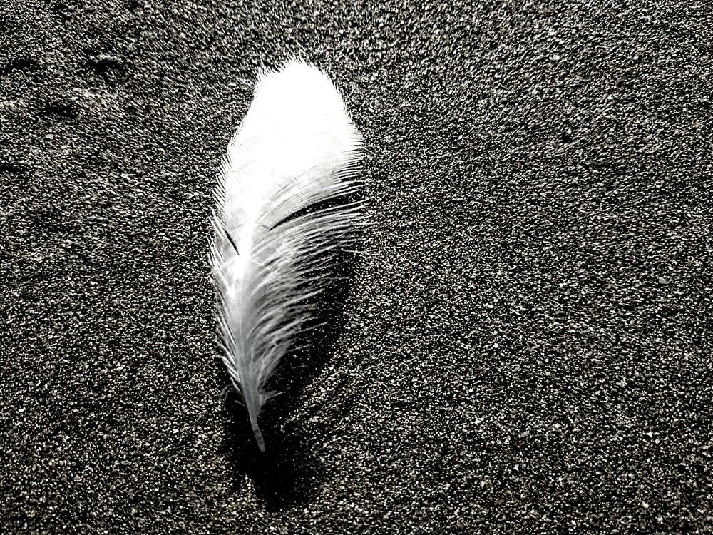 Photograph by Tatsiana Khinevich