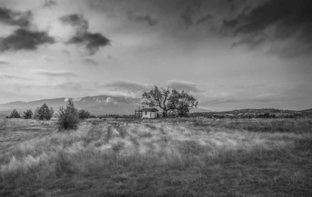 Photograph by Venelin Dimitrov