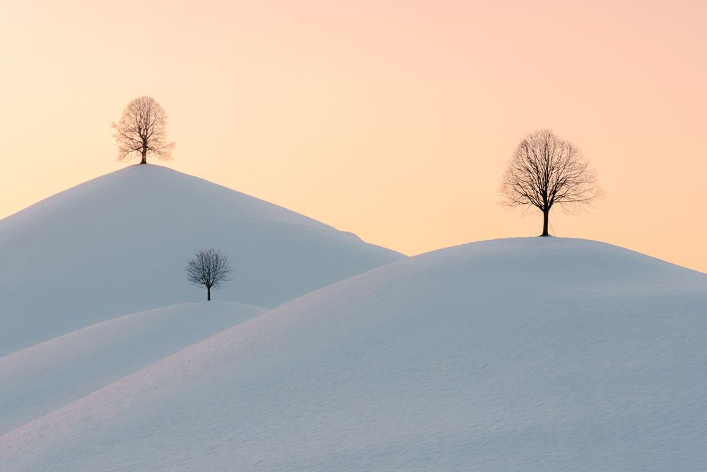 Photograph by Ewa Jermakowicz