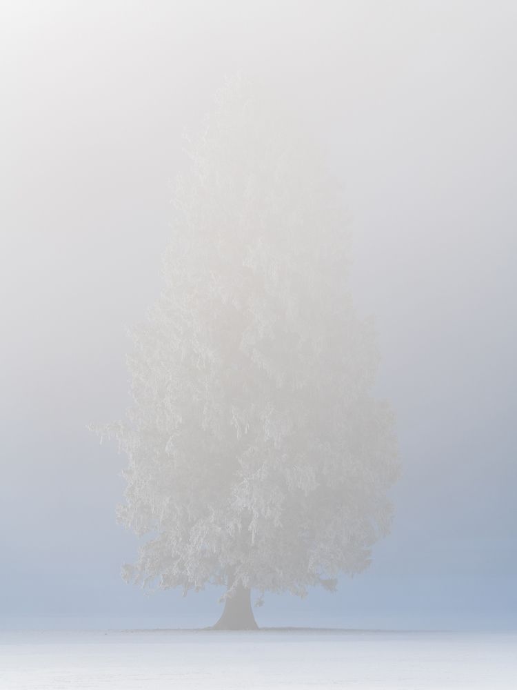 Photograph by Ewa Jermakowicz