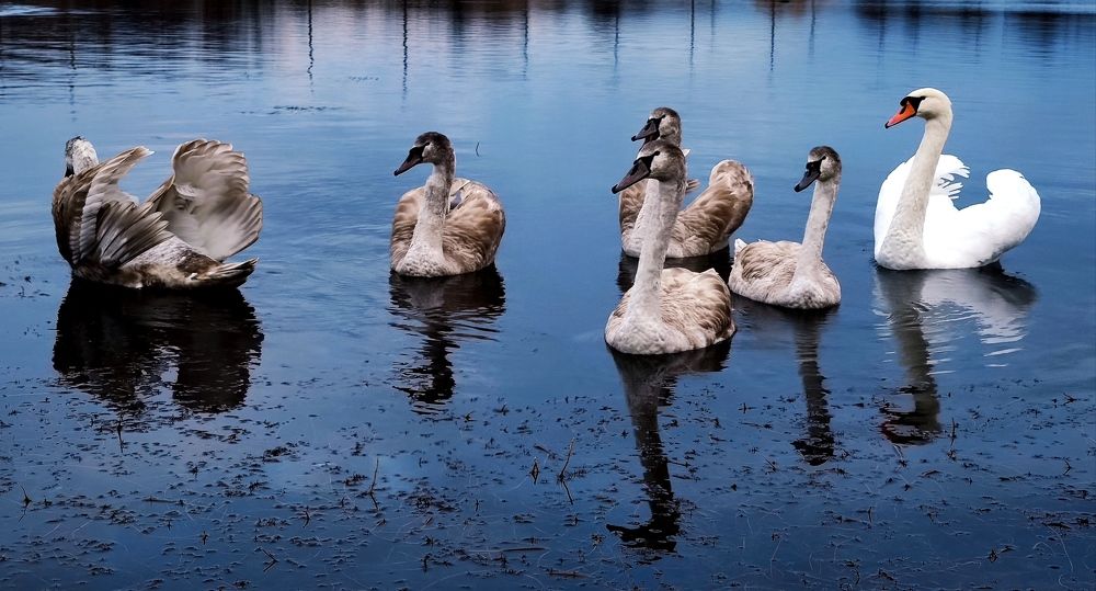 Photograph by Инна Макарчук