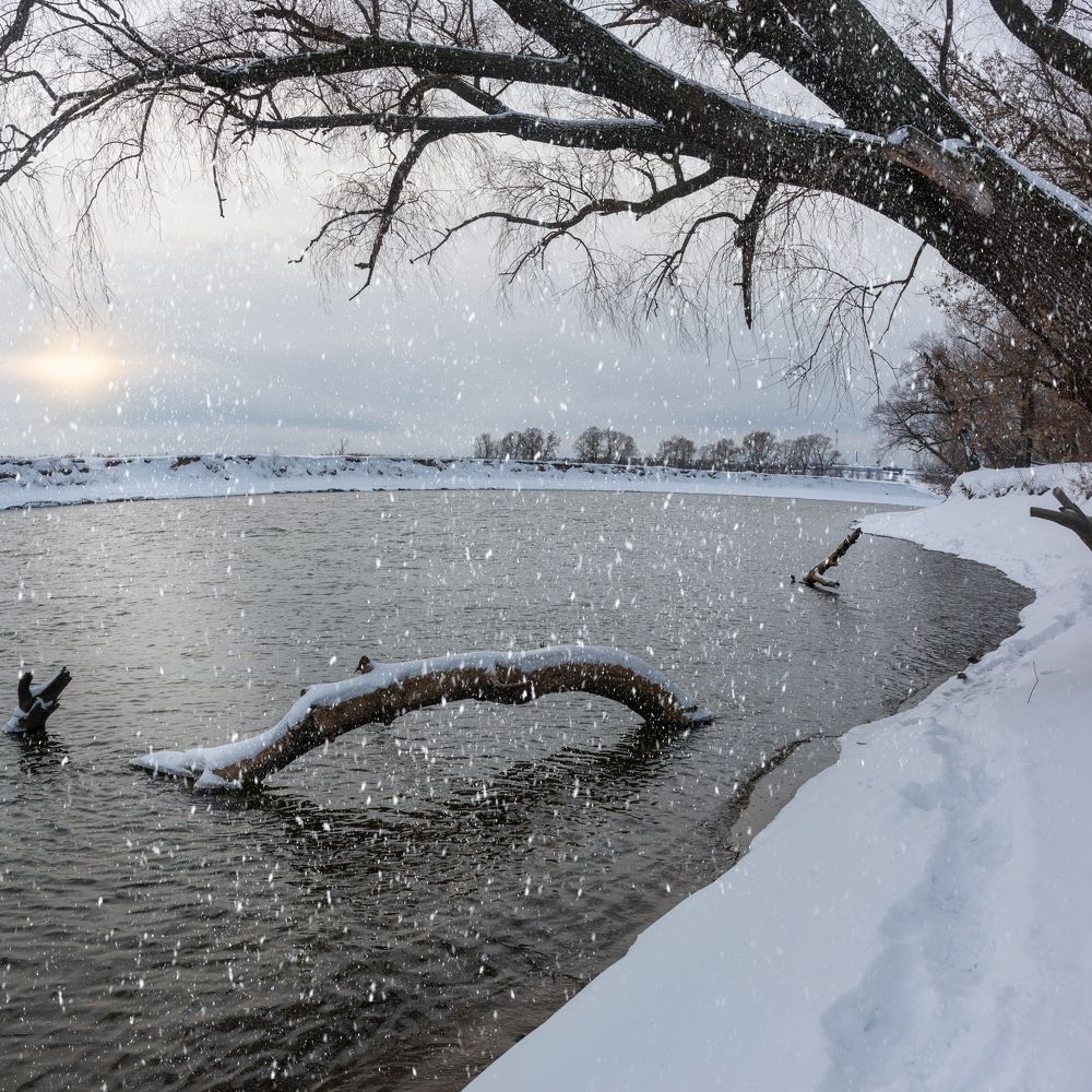 Photograph by Александр Корнейчев