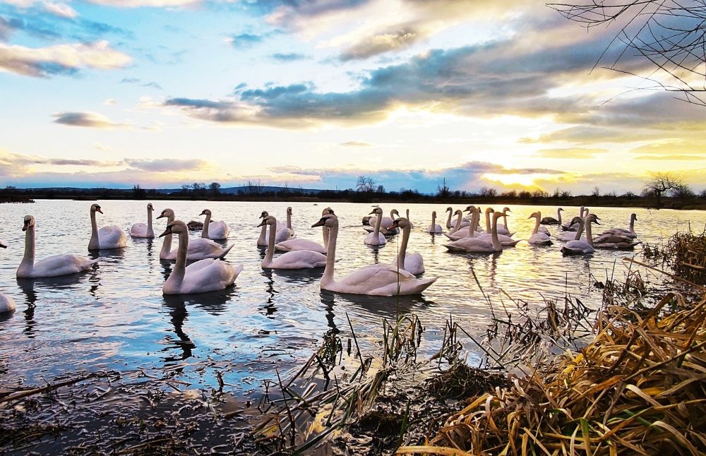 Photograph by Инна Макарчук