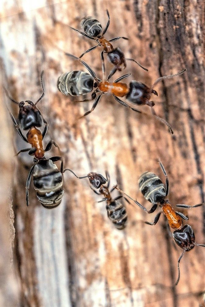 Photograph by Dragan Cerovic