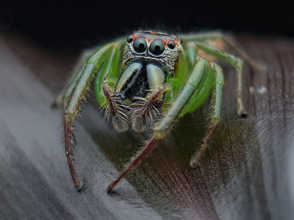 Photograph by Ipunk Agus Setiawan