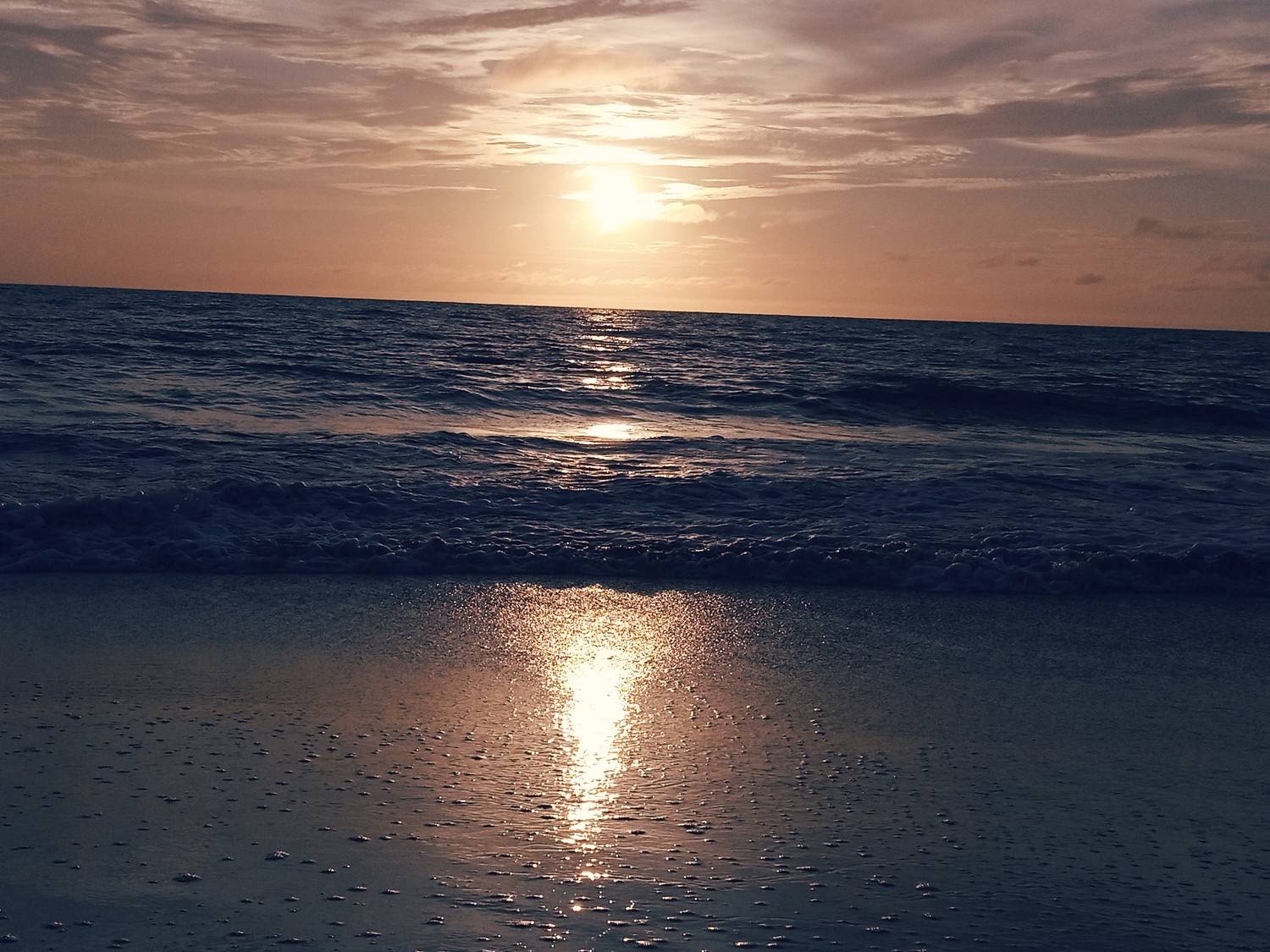 Photo #7232436