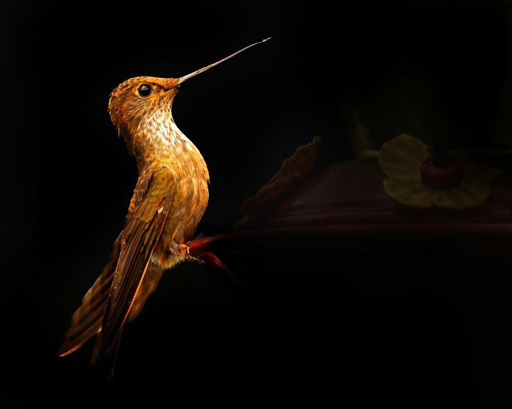 Photograph by Mónica Castaño