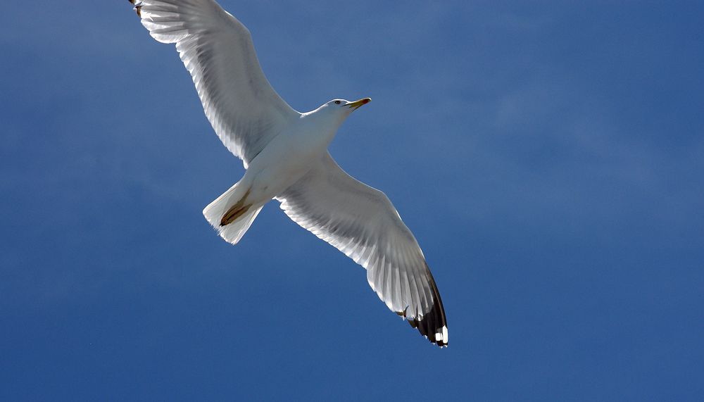 Photograph by Лилия Потравнова