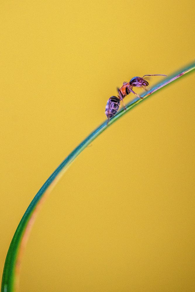 Photograph by Dragan Cerovic