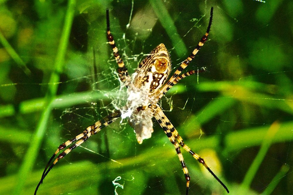 Photograph by Chemsseddine Boutabba