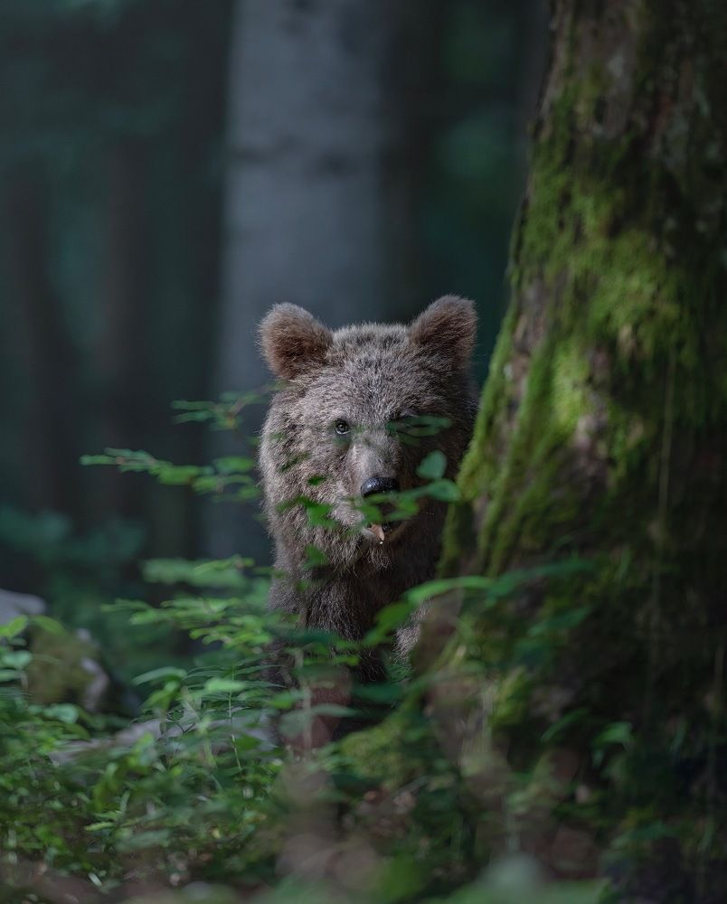 Photograph by Marcello Galleano