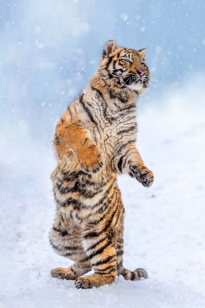 Photograph by ольга